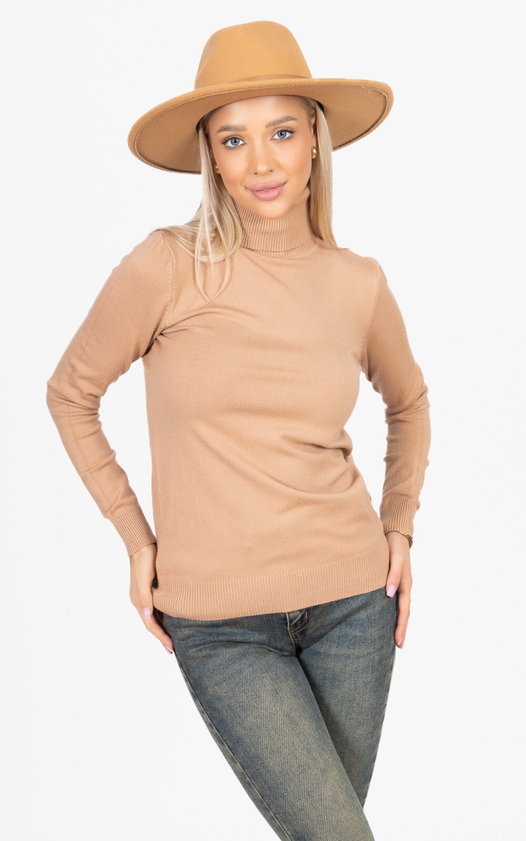 j212533 camel (22).jpg